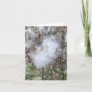 Milkweed Seeds och Silke Anteckningskort