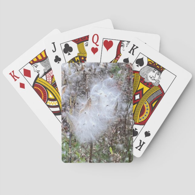 Milkweed Seeds och Silke Casinokort (Baksidan)