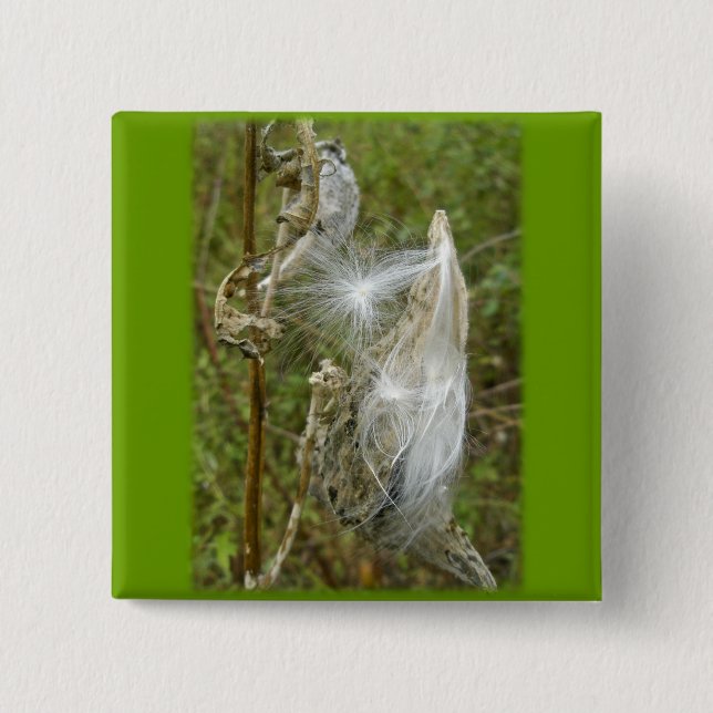 Milkweed Seeds samordnande föremål Knapp (Framsida)