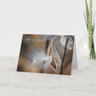 Milkweed Sympathy Kort