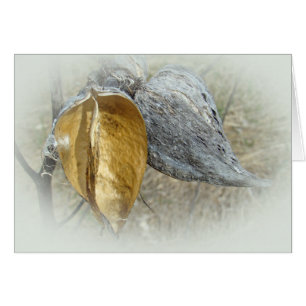 Milkweedpoder Hälsningskort