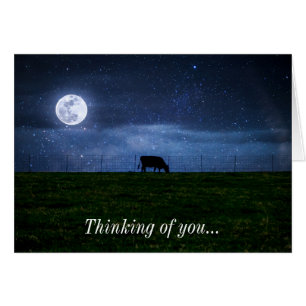 Milky Way Cattle Moonlight OBS Kort