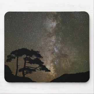 Milky Way med Träd | Ouray Colorado Musmatta