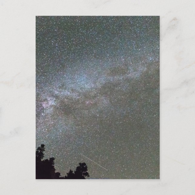 Milky Way Perseid Meteor Shower Vykort (Framsida)