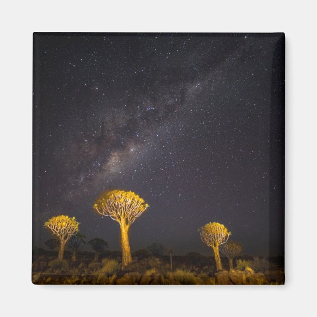 Milky Way Quiver Träd | Keetmanshoop Namibia Magnet (Framsidan)
