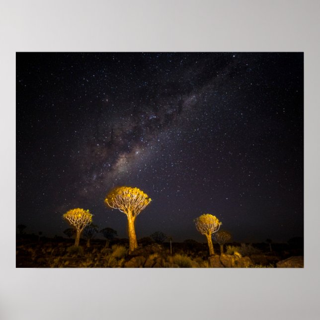 Milky Way Quiver Tree | Keetmanshoop Namibia Poster (Framsidan)