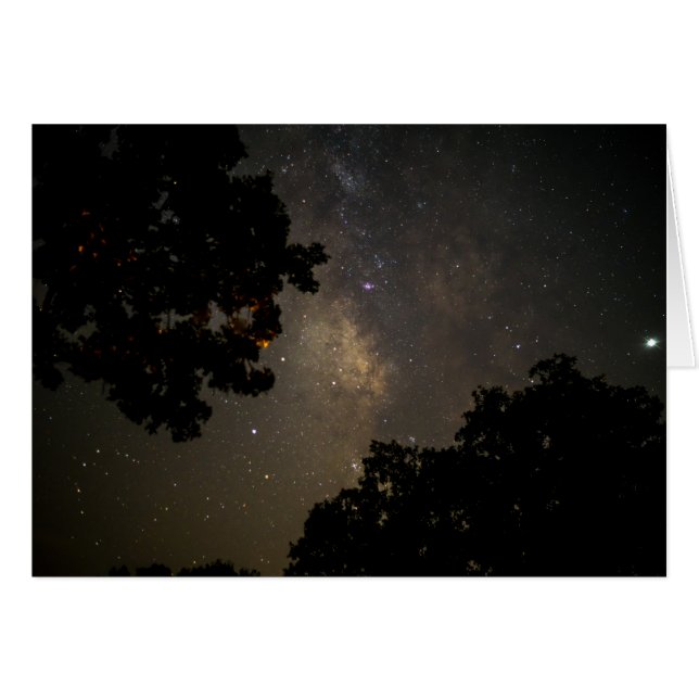 Milky Way Träd OBS Kort (Framsidan Horizontal)