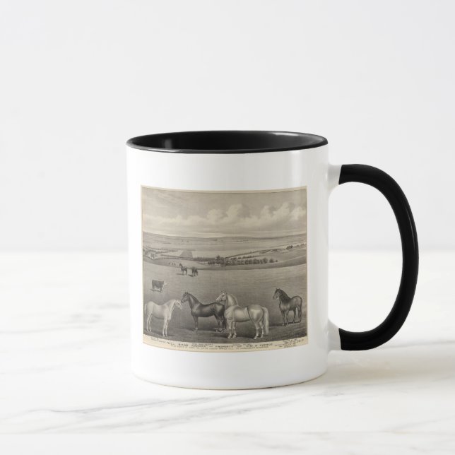 Mill Brae Ranch, Kansas Mugg (Höger)