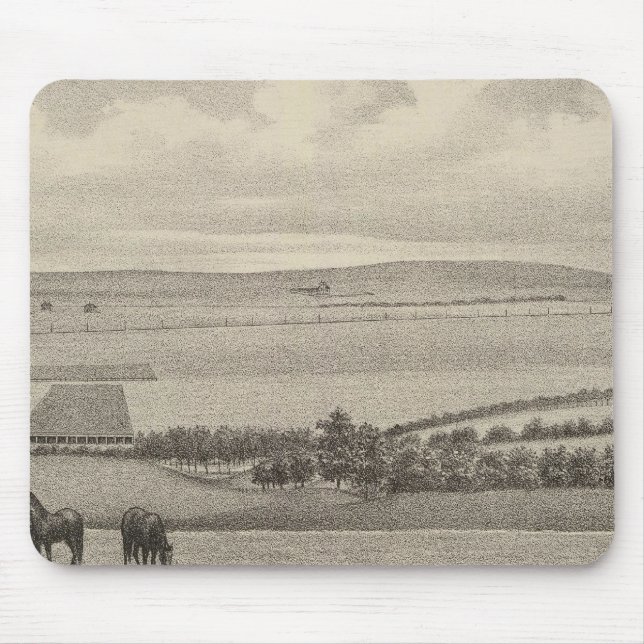 Mill Brae Ranch, Kansas Musmatta (Framsidan)
