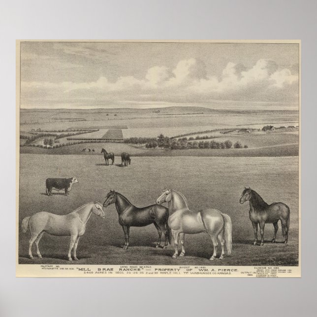 Mill Brae Ranch, Kansas Poster (Framsidan)