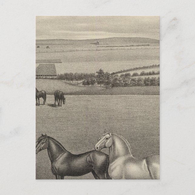 Mill Brae Ranch, Kansas Vykort (Framsida)