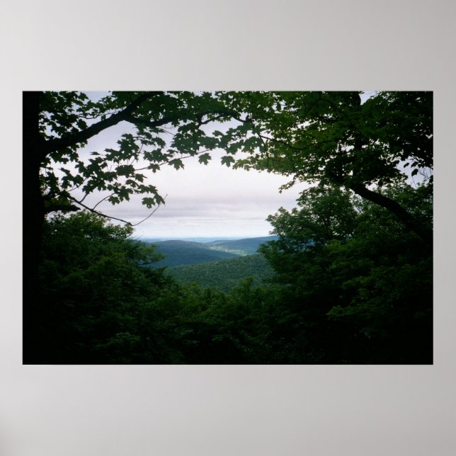 Mill Brook Ridge Vista Poster (Framsidan)