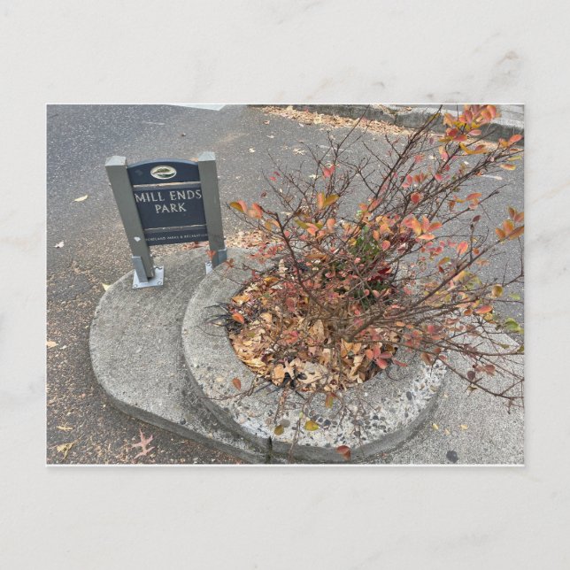 Mill Ends Park Vykort (Framsida)