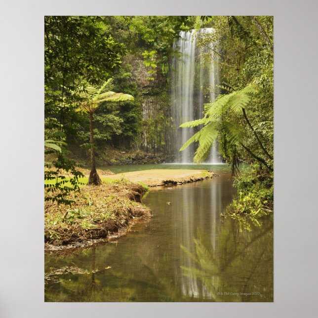 Millaa Millaa Falls, Atherton Tableland Poster (Framsidan)