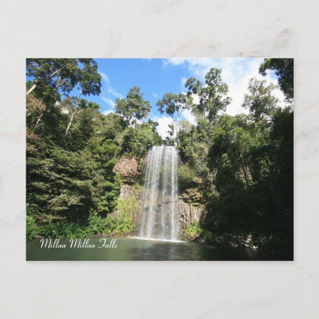 Millaa Millaa Falls, Queensland Australien Vykort (Framsida)