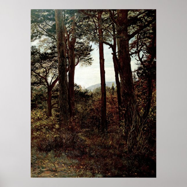 Millais - Scotch Firs 1873 Poster (Framsidan)