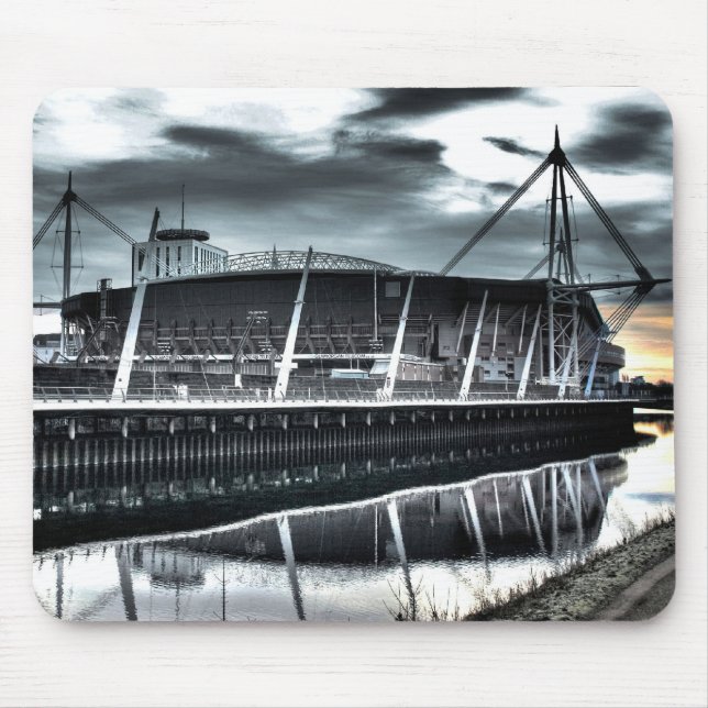 Millenium Musmatta (Framsidan)