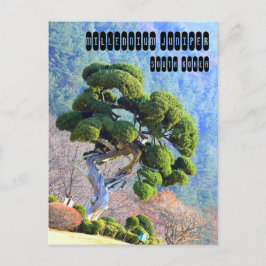 Millennium Juniper i Gapyeong Korea Vykort