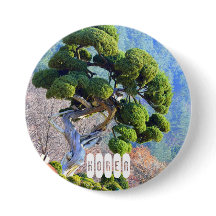 Millennium Juniper of South Korea