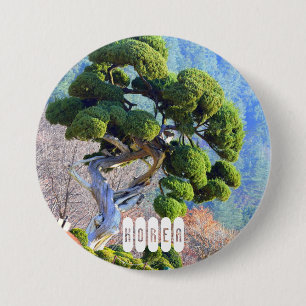 Millennium Juniper of South Korea Knapp