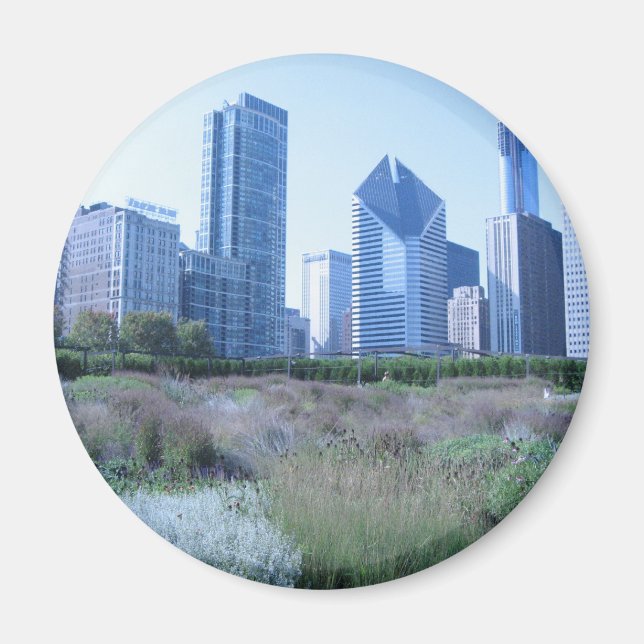 Millennium Park Magnet (Framsidan)