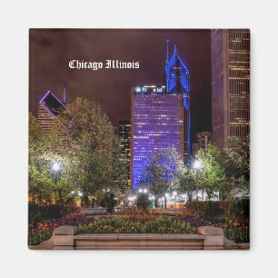 Millennium Park Vår Season Night Magnet
