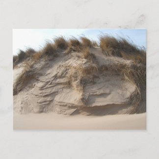 Miller Beach in Gary, Indiana Vykort