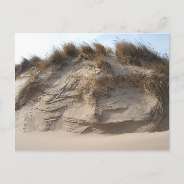 Miller Beach in Gary, Indiana Vykort (Framsida)