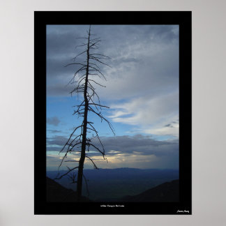 Miller Canyon Solitude Poster