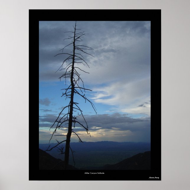 Miller Canyon Solitude Poster (Framsidan)