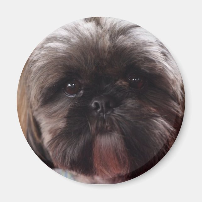 Millie magnet (Framsidan)