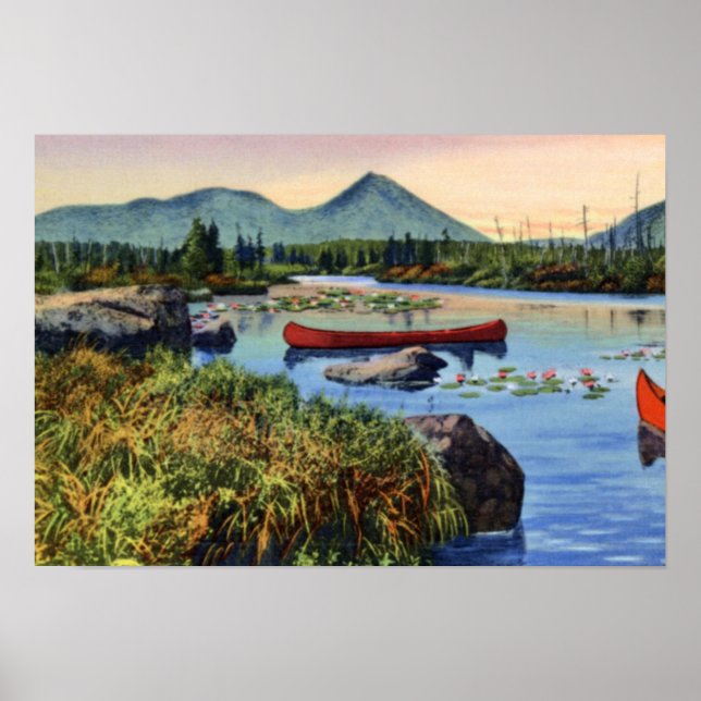 Millinocket Maine Little NesowadnehunkLake Lily Pa Poster (Framsidan)