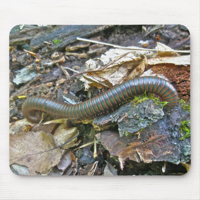 Millipede (americanus Narceus) Mousepad Musmatta (Framsidan)