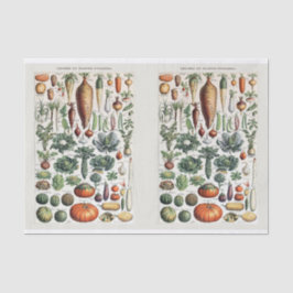 Millot Illustrations, Garden Vegetables, Decoupage