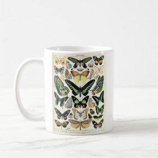 Millots Butterflies Mugg