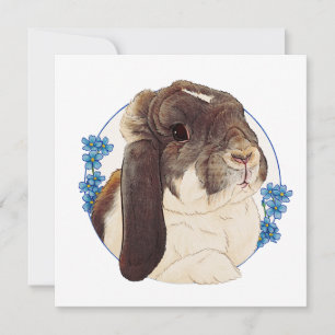 Milly Moo Bunny Kort