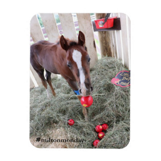 Milton måndag Magnet