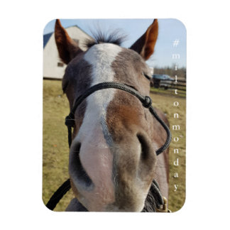 Milton månmagnet magnet