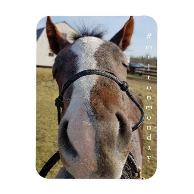 Milton månmagnet magnet (Vertikal)