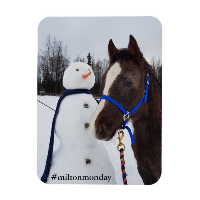 Milton månmagnet magnet (Vertikal)