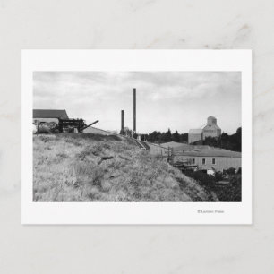 Milton, Oregon View of Town Elevator Photograph Vykort
