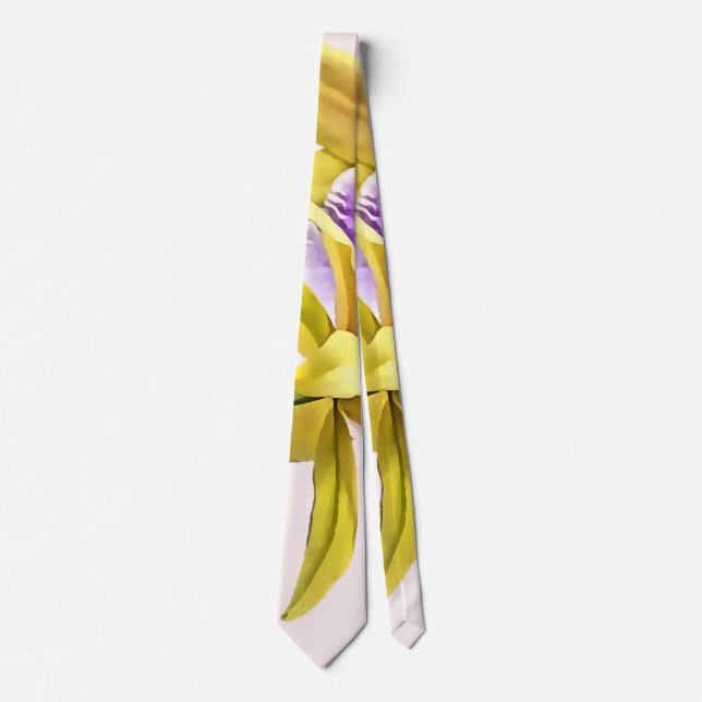 Miltonia Orkidéer Solnedgång Gul Passion Slips (Framsida)