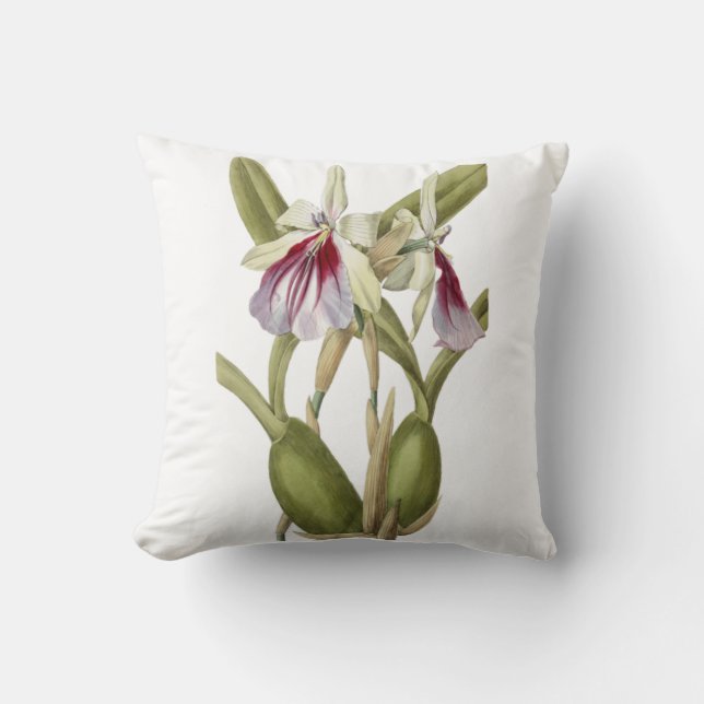 Miltonia Spectabilis orchid botanical dekorativ ku Kudde (Framsida)