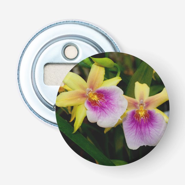 Miltonia Sunset Flasköppnare (Framsidan)