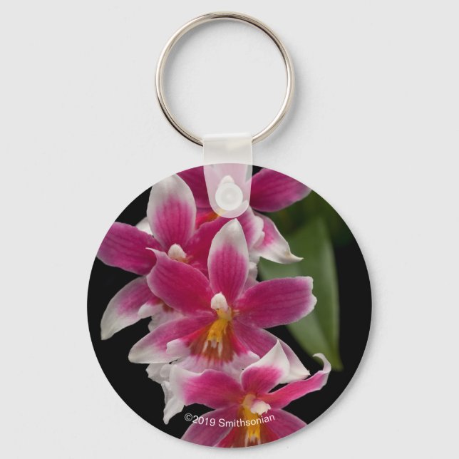 Miltonioda Sakura Nyckelring (Framsida)