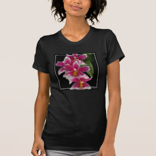 Miltonioda Sakura T Shirt