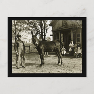 Milwaukee Mule och Farmer Vintage Vykort
