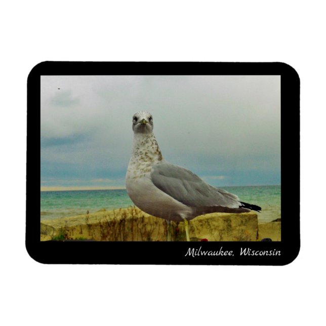 Milwaukee Wisconsin Magnet (Horisontell)