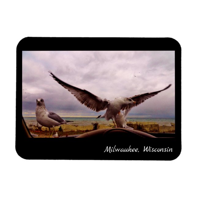 Milwaukee Wisconsin Magnet (Horisontell)