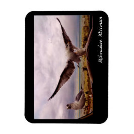 Milwaukee Wisconsin Magnet